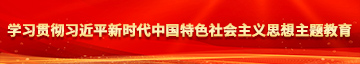 男人肏网站学习贯彻习近平新时代中国特色社会主义思想主题教育